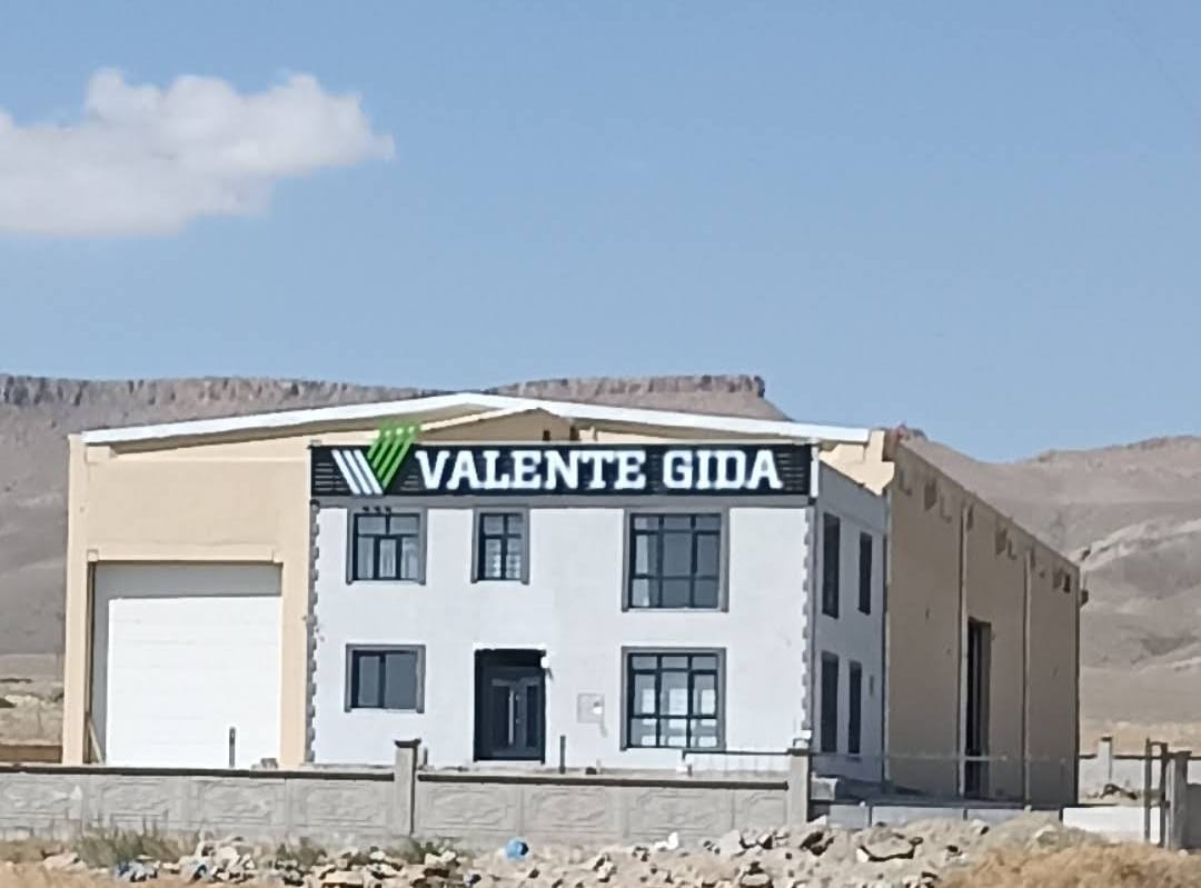 Galeri 12